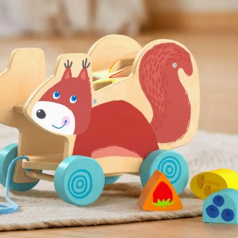 Squirrel Pull-Along Toy & Sorting Box - Toddler Activity Set